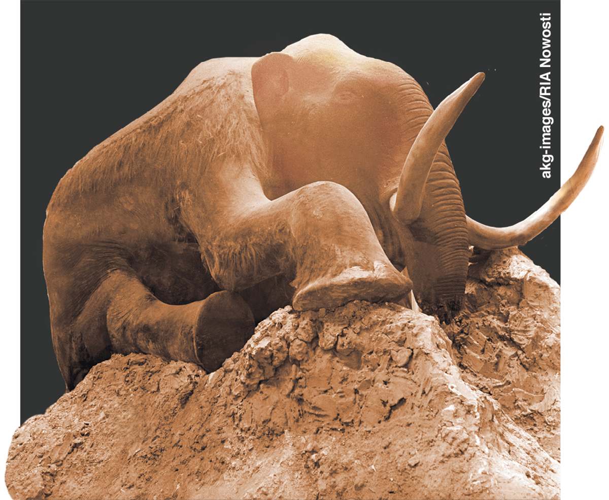 [Picture on page 328]