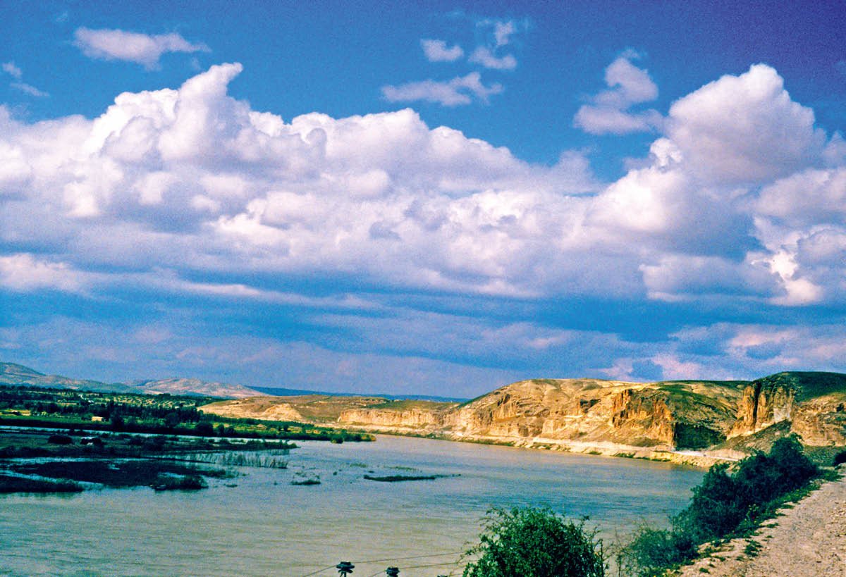 [Picture on page 331]