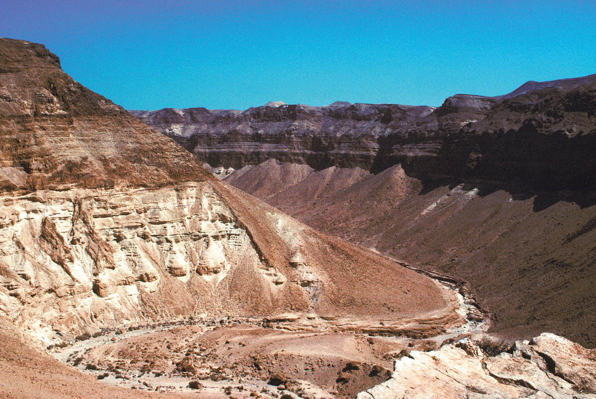 [Picture on page 335]