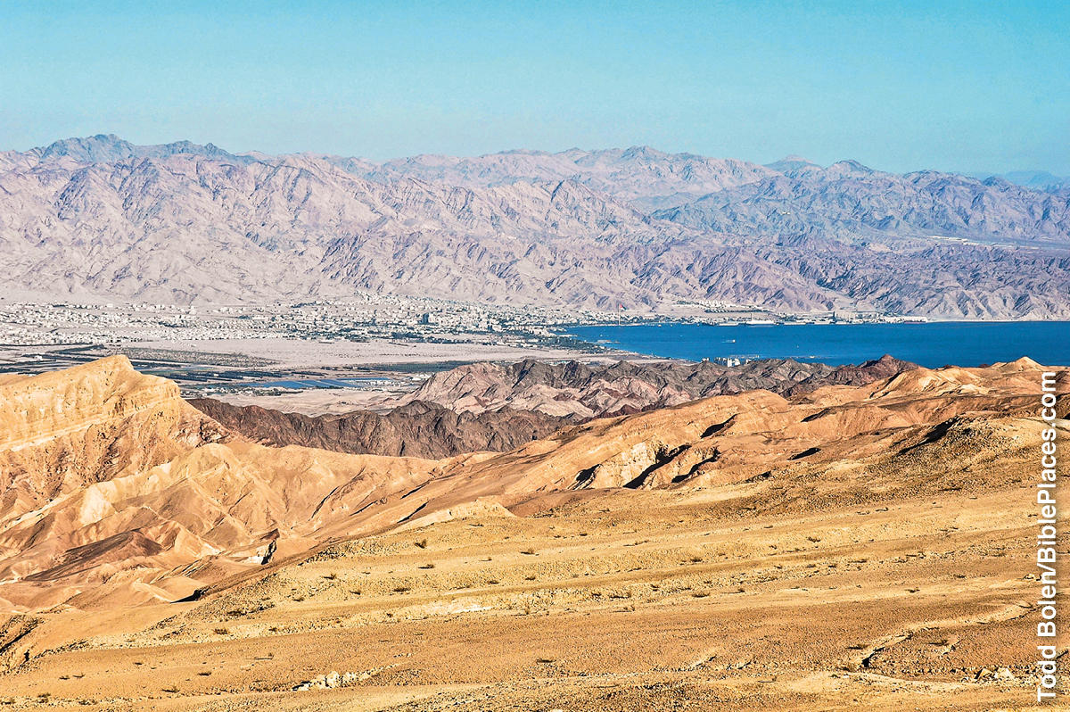 [Picture on page 542]