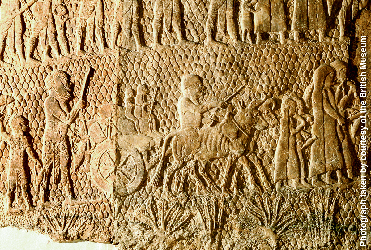 [Picture on page 952]