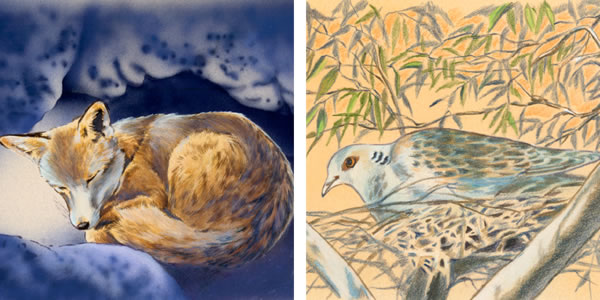 1. A fox in a den; 2. A bird on a roost