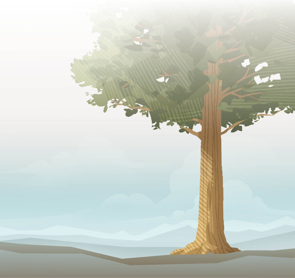 A tree of enormous height.