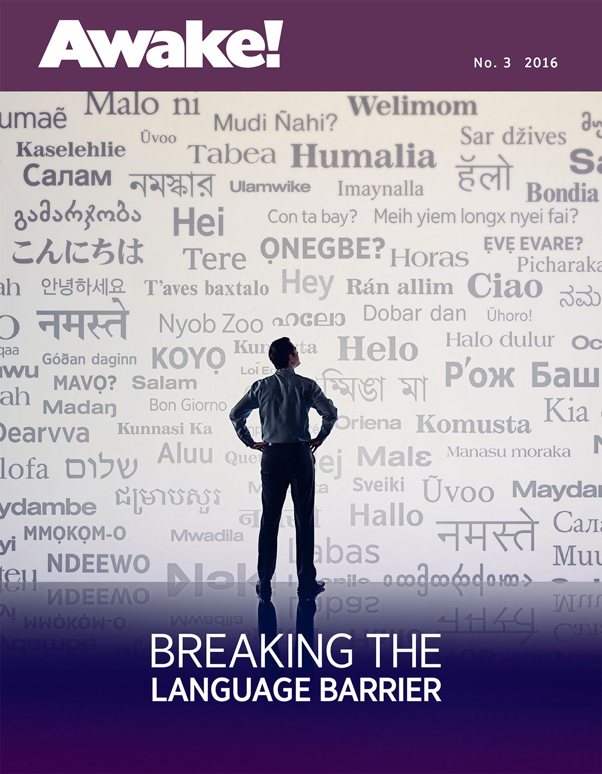 The Awake! No. 3 2016 | Breaking the Language Barrier