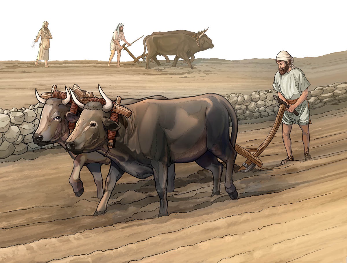 A plowman focuses straight ahead and is not distracted by what is behind him