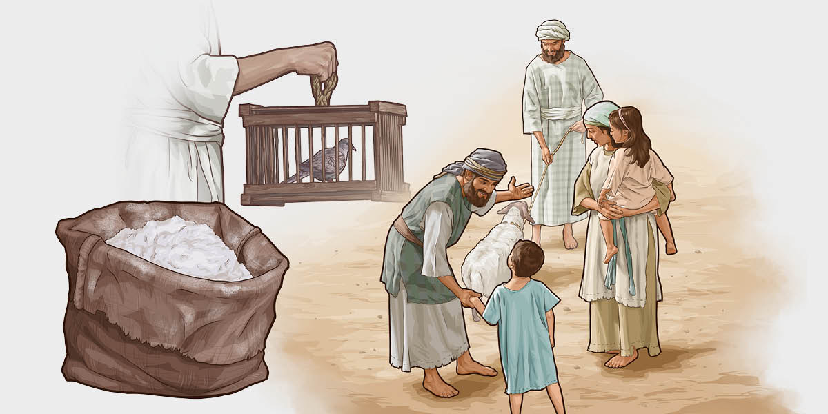 Collage: Jehovah accepts various types of offerings from the Israelites. 1. Fine flour. 2. A dove. 3. A sheep is brought by a family to a priest.