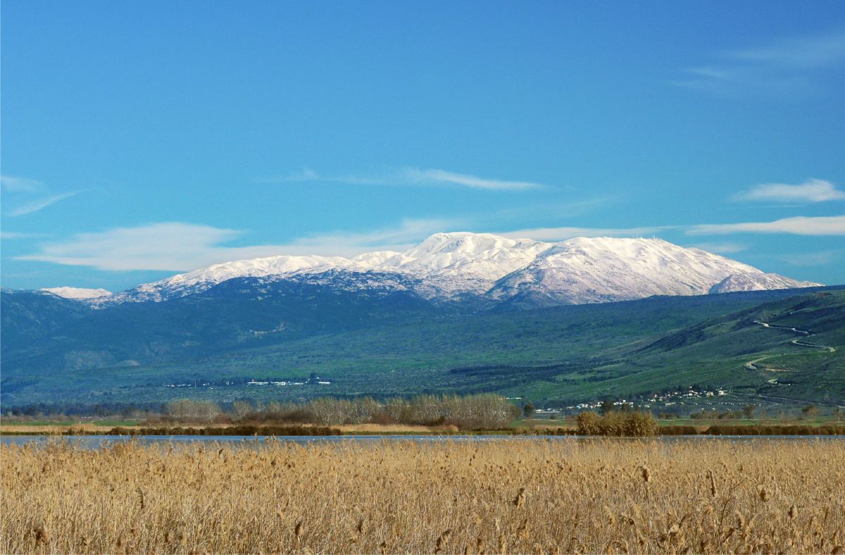 Mount Hermon As Seen From the Hula Valley Nature Reserve