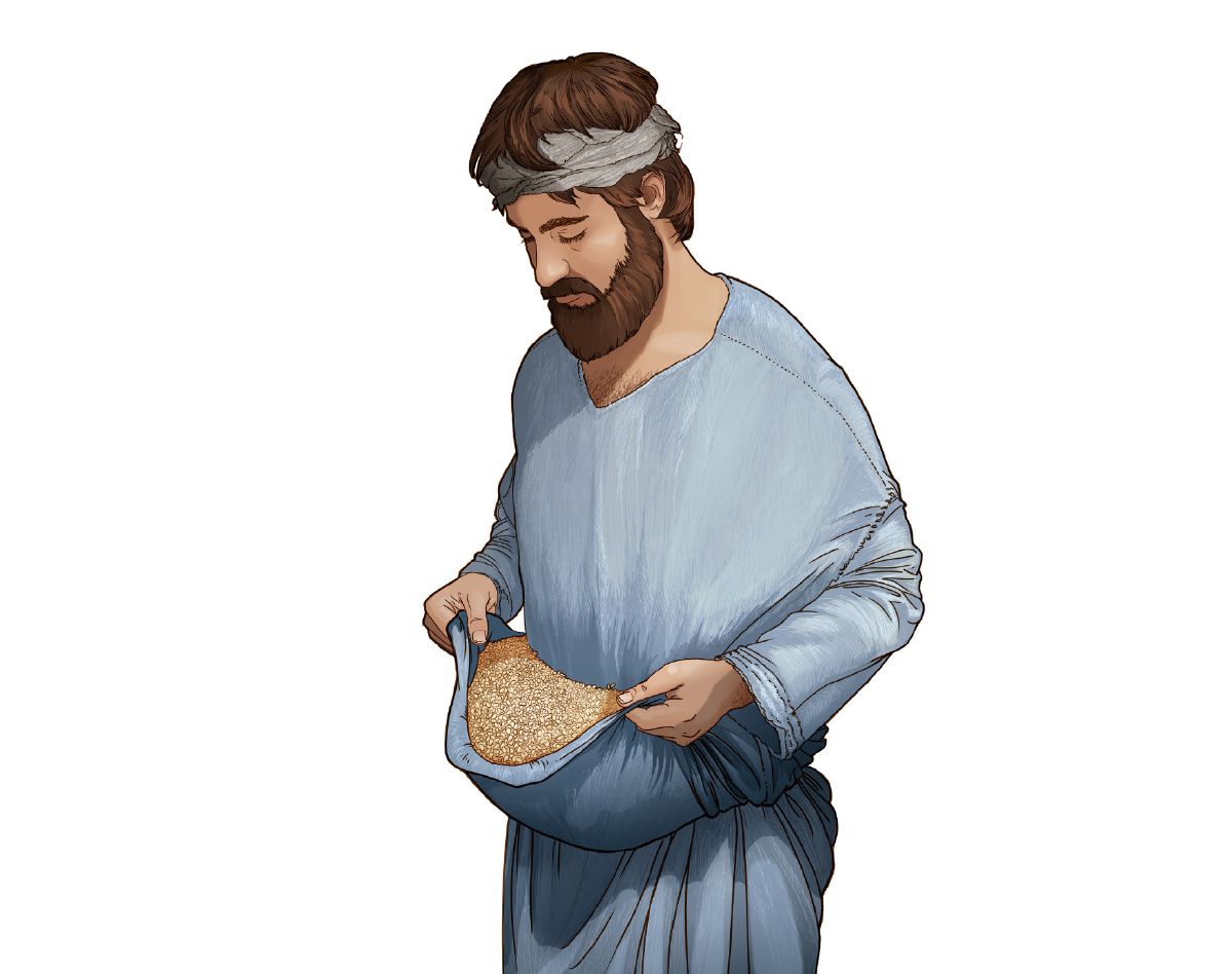 Upper Fold of a Garment