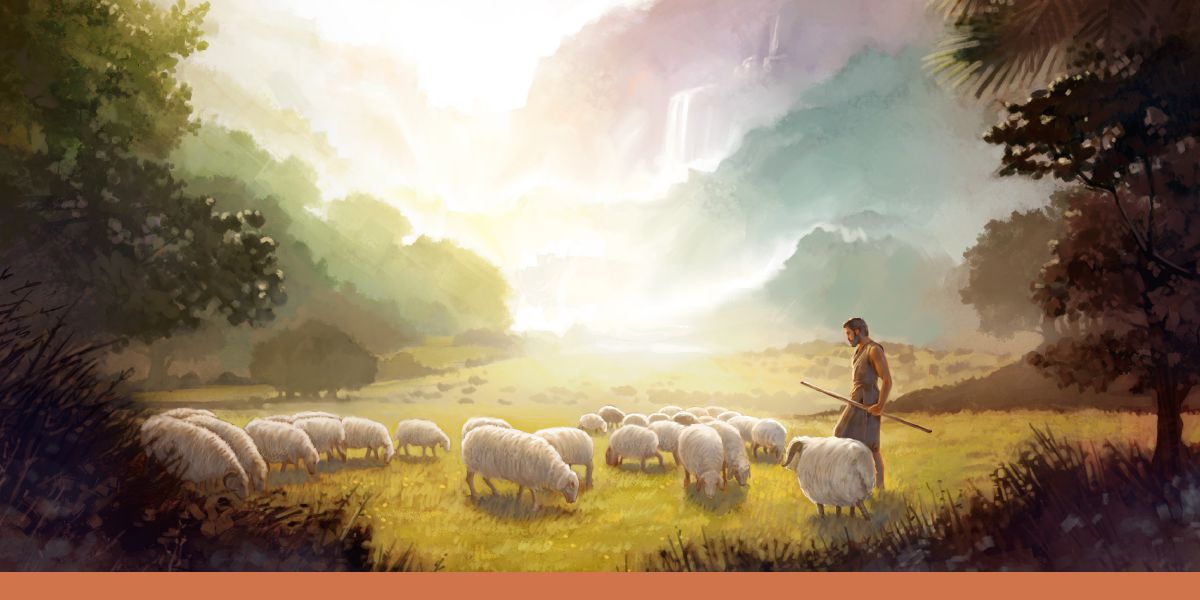 Abel carefully inspecting his flock of sheep.