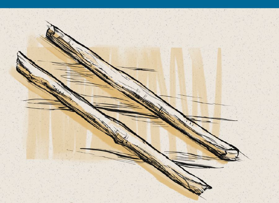 The two sticks of Ezekiel’s prophecy.