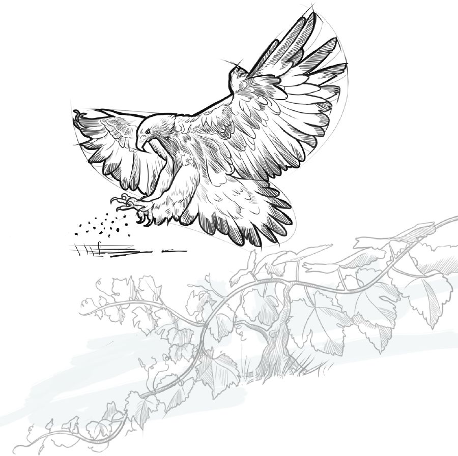 Collage: 1. An eagle scattering seeds in a field. 2. A low-growing vine.