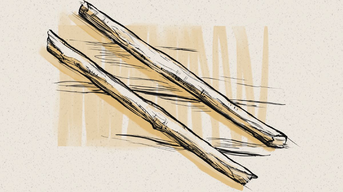 The two sticks of Ezekiel’s prophecy.