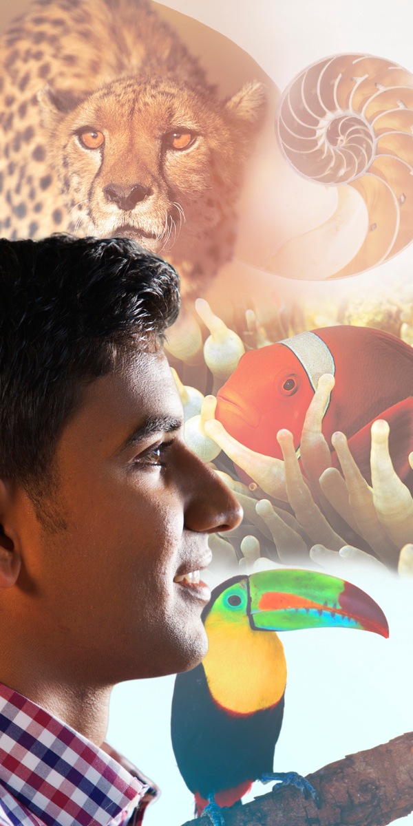 A young man contemplates the colorful variety in nature