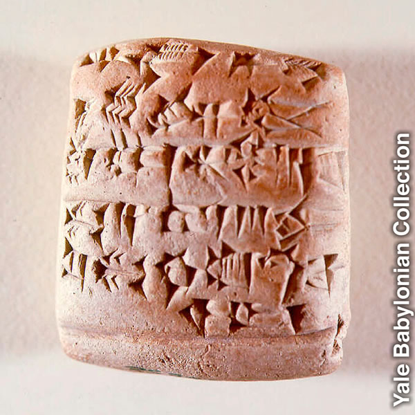 An ancient contract for the purchase of sheep and goats