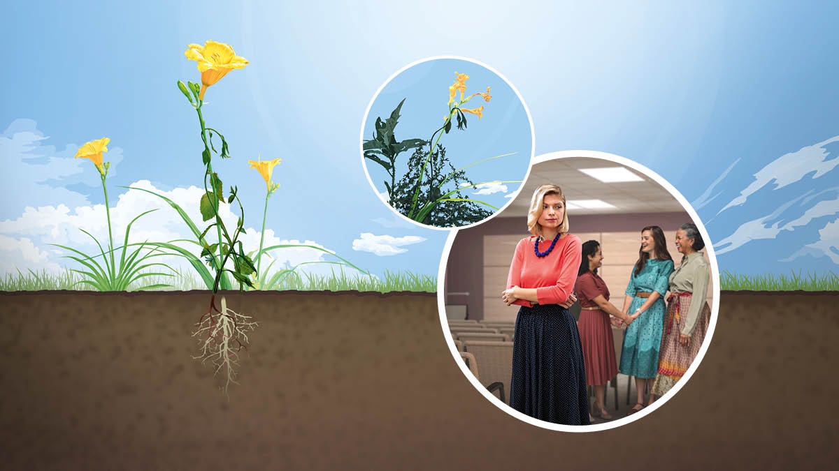 Collage: 1. A healthy wildflower with its roots in fine soil. 2. The same flower being choked by weeds. 3. Three sisters joyfully talking to each other at a Kingdom Hall while another sister stands alone and seems upset.