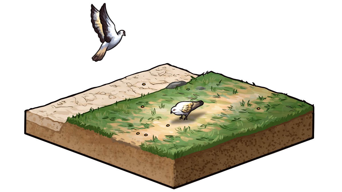 Trampled soil with a bird coming to land on it.