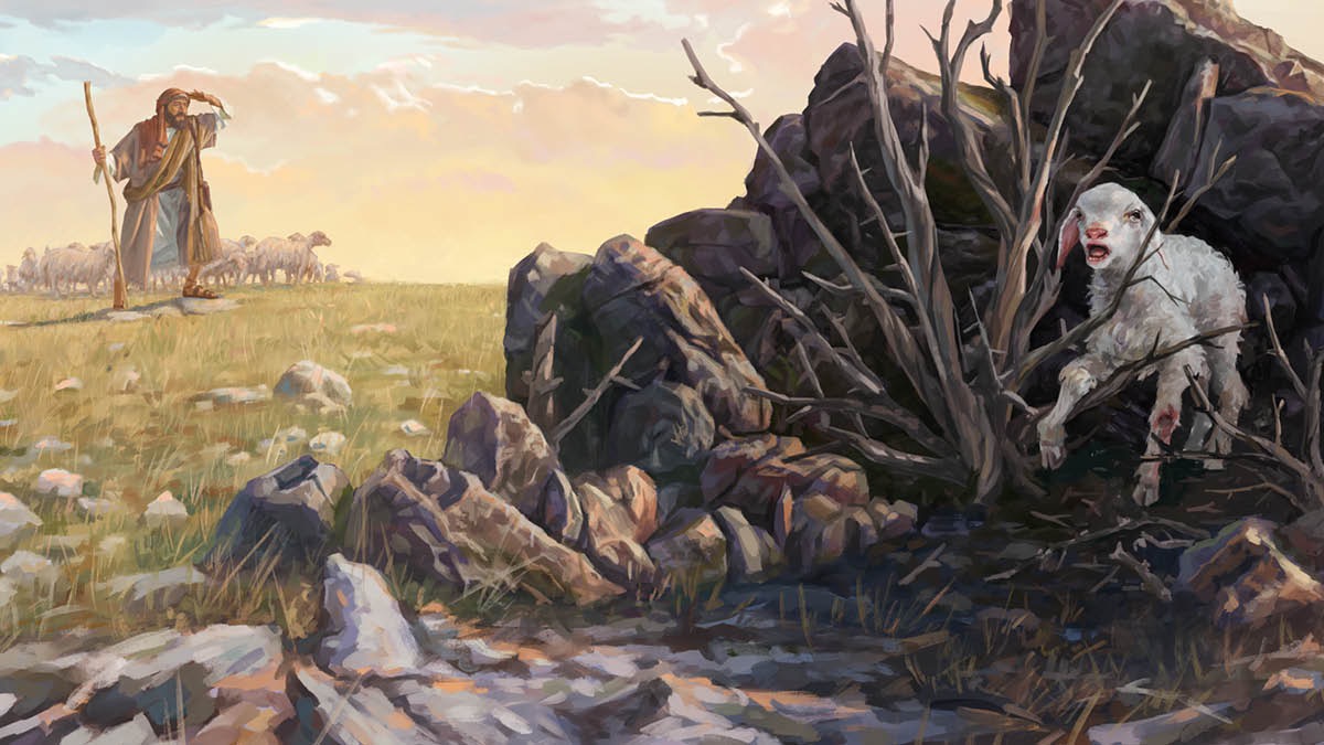 A shepherd with his flock, looking for a lost lamb. The lamb is hidden from the shepherd’s view, has a wounded leg, and is entangled in a bush.