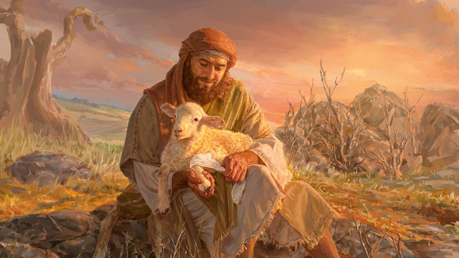 The shepherd holding the lamb on his lap and bandaging its wounded leg.