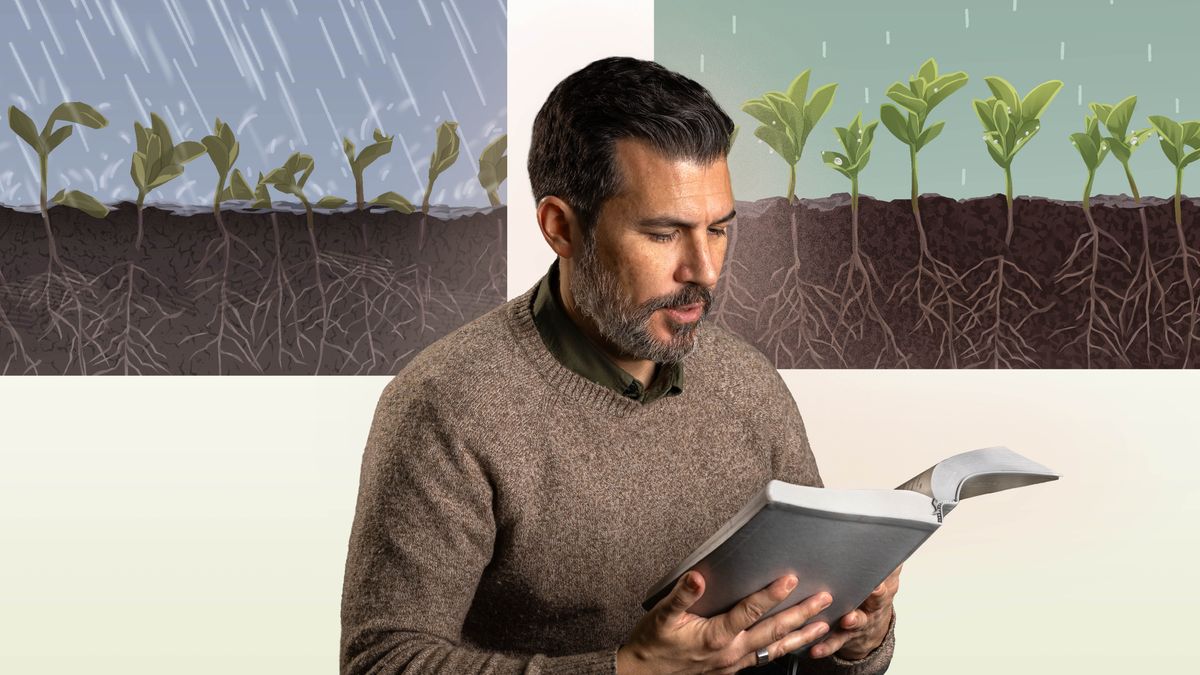 A brother reading the Bible. Collage: 1. Heavy rain floods the ground where seedlings grow, causing the plants to struggle. 2. Light rain is absorbed by the ground where seedlings grow, causing the plants to flourish.