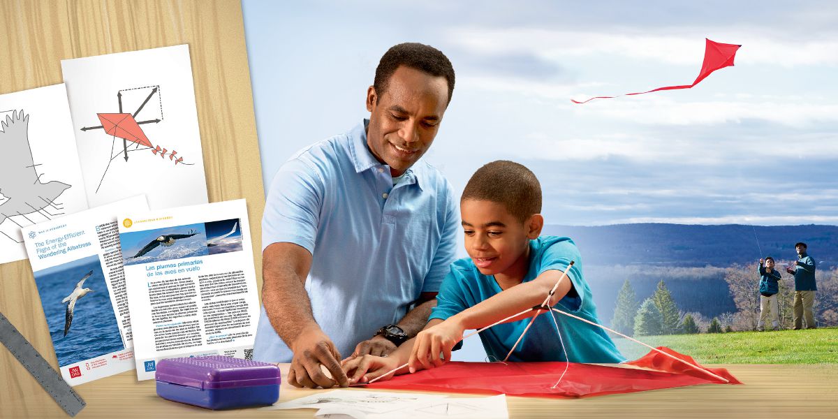 After considering an Awake! article from the series “Was It Designed?,” a father and son make a kite