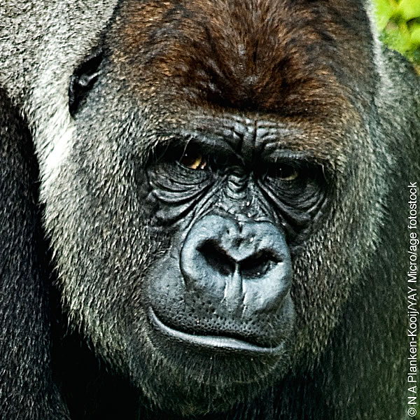 [Ilustración de la página 12]