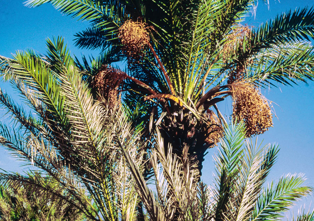 [Ilustración de la página 544]