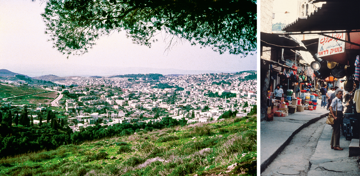 [Ilustraciones de la página 539]