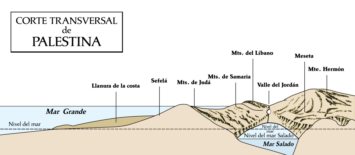 [Diagrama de la página 585]