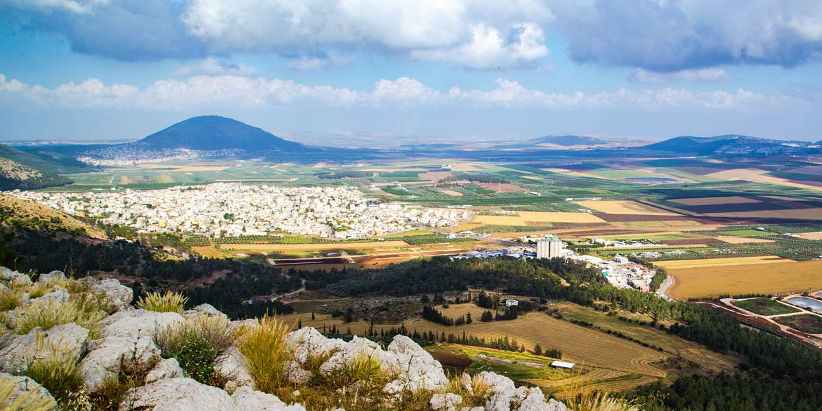 [Ilustración de la página 738]