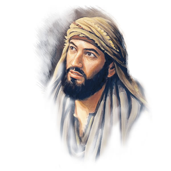 Ilustración de la página 25