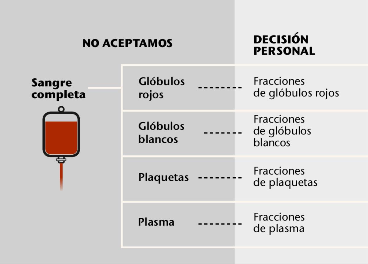 Sangre, sus cuatro partes principales y fracciones sanguíneas