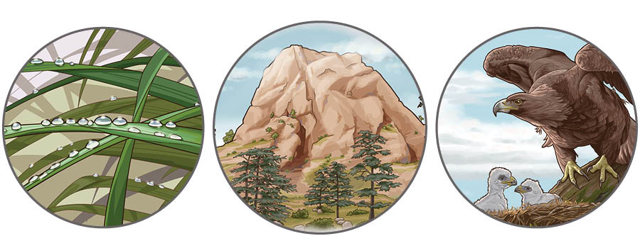 Imágenes de comparaciones que encontramos en el capítulo 32 de Deuteronomio. 1. Gotas de rocío sobre la hierba. 2. Una roca firme como una montaña. 3. Un águila protege a sus polluelos.