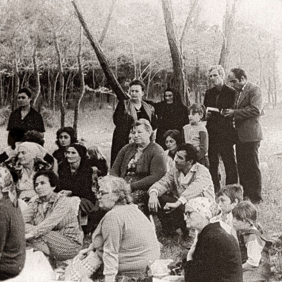 Una reunión en el bosque