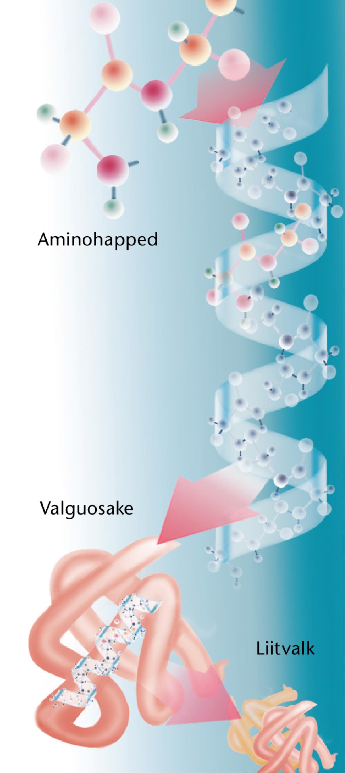 Tüüpilise valgu osad