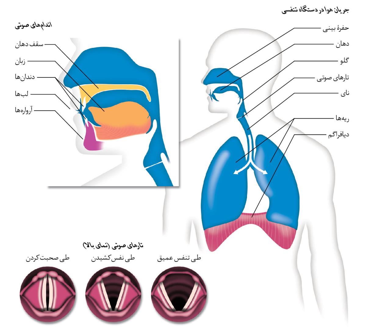 دياگرام‌ها در صفحهٔ ۱۸۳