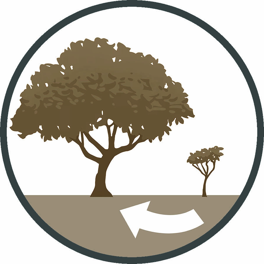 ازخودگذشتگی‌های بابلیان شامل ۱۳ سال محاصرهٔ صور بود