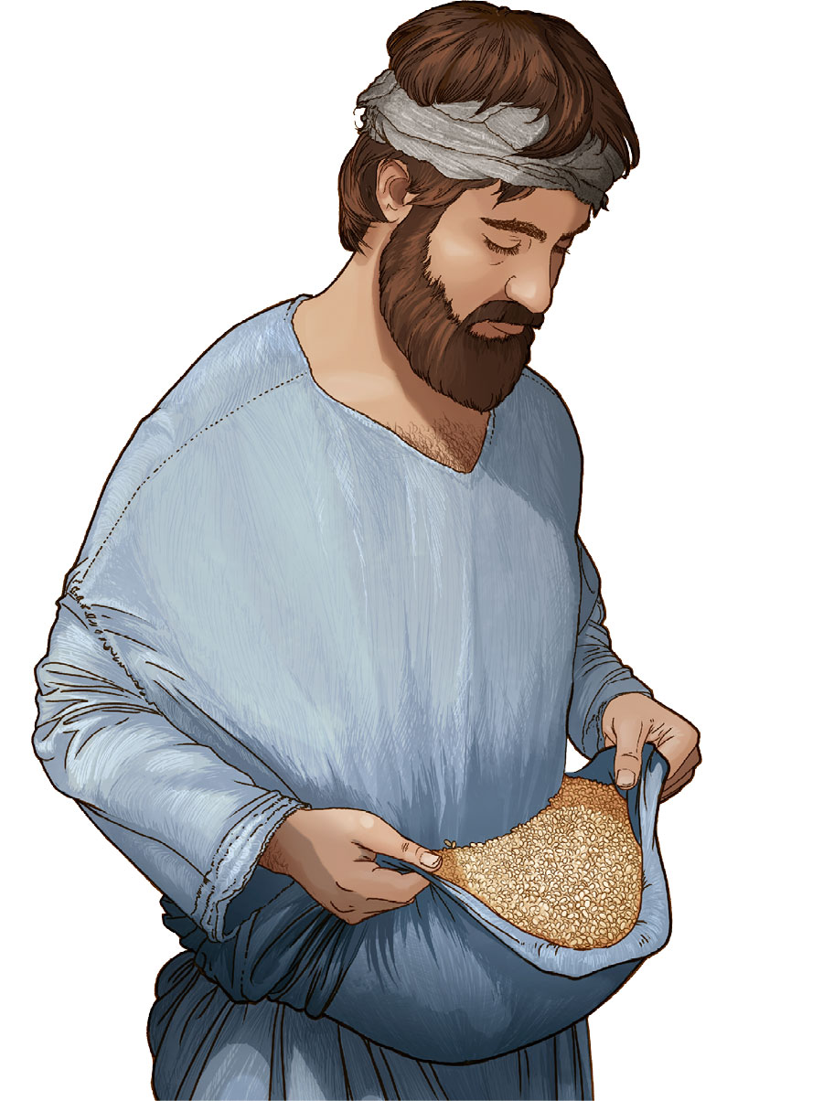 گندم در ردای مردی در روزگار كتاب مقدّس 