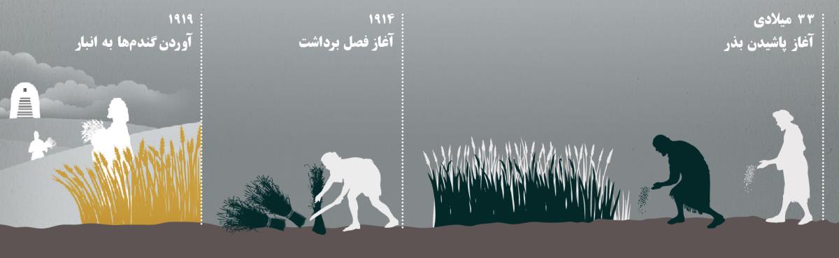نمودار:‏ آغاز پاشيدن بذر،‏ آغاز فصل برداشت و آوردن گندم‌ها به انبار