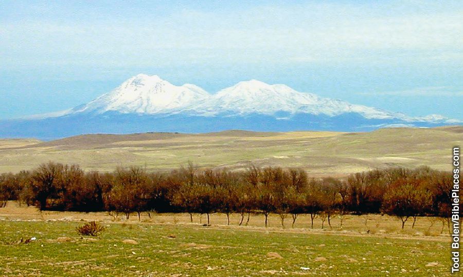 زنی در حال دعا