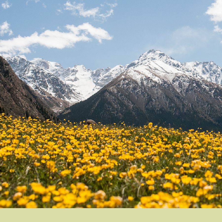 ‏[تصویر در صفحهٔ ۱۷]رشته‌کوه‌های تسکی آلاتو