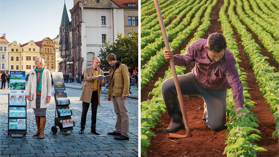 مجموعه‌ای از تصاوير.‏ ۱)‏ كشاورزی كه كلنگی به دست دارد،‏ بر روی زمين زانو زده و محصولش را چک می‌كند.‏ ۲)‏ برادر و خواهری در كنار چرخ دستی موعظه ايستاده‌اند.‏ آن برادر يک آيه را برای مردی می‌خواند.‏