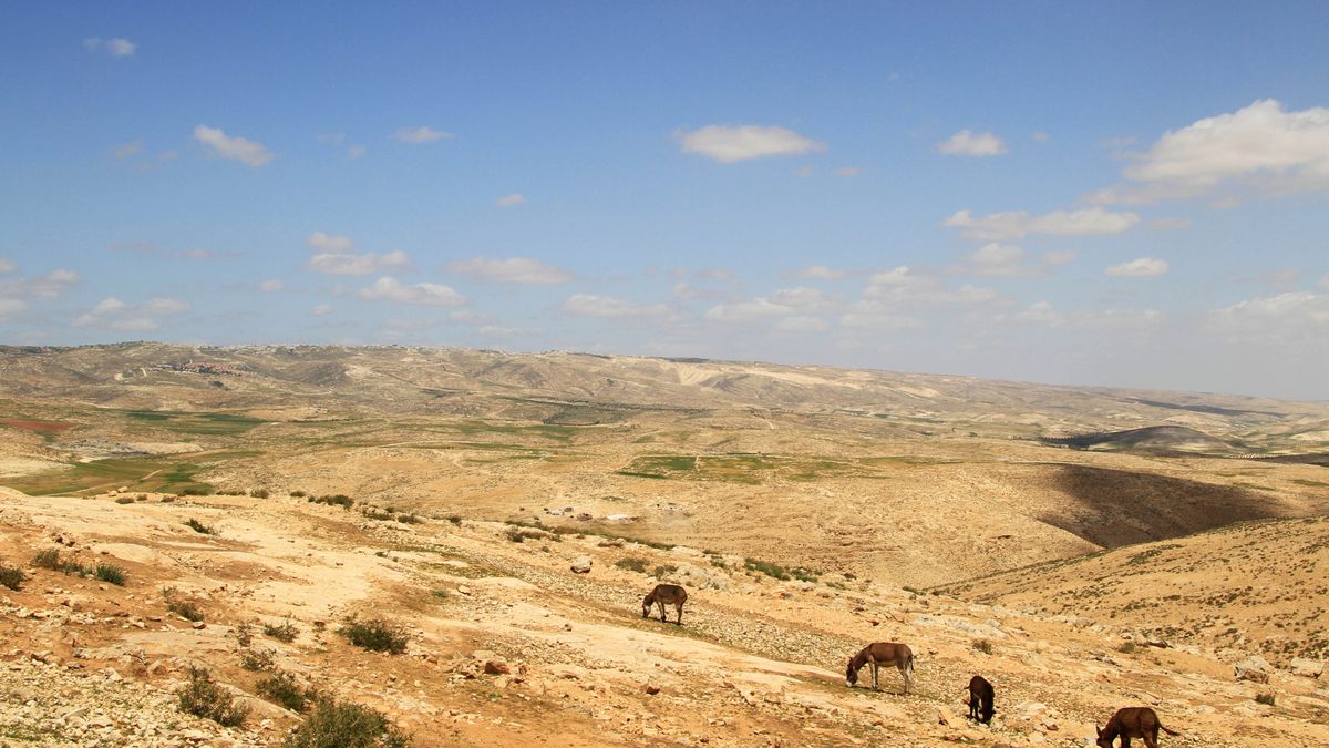 زمین خشک و ناهموار نزدیک کَرمِل.‏