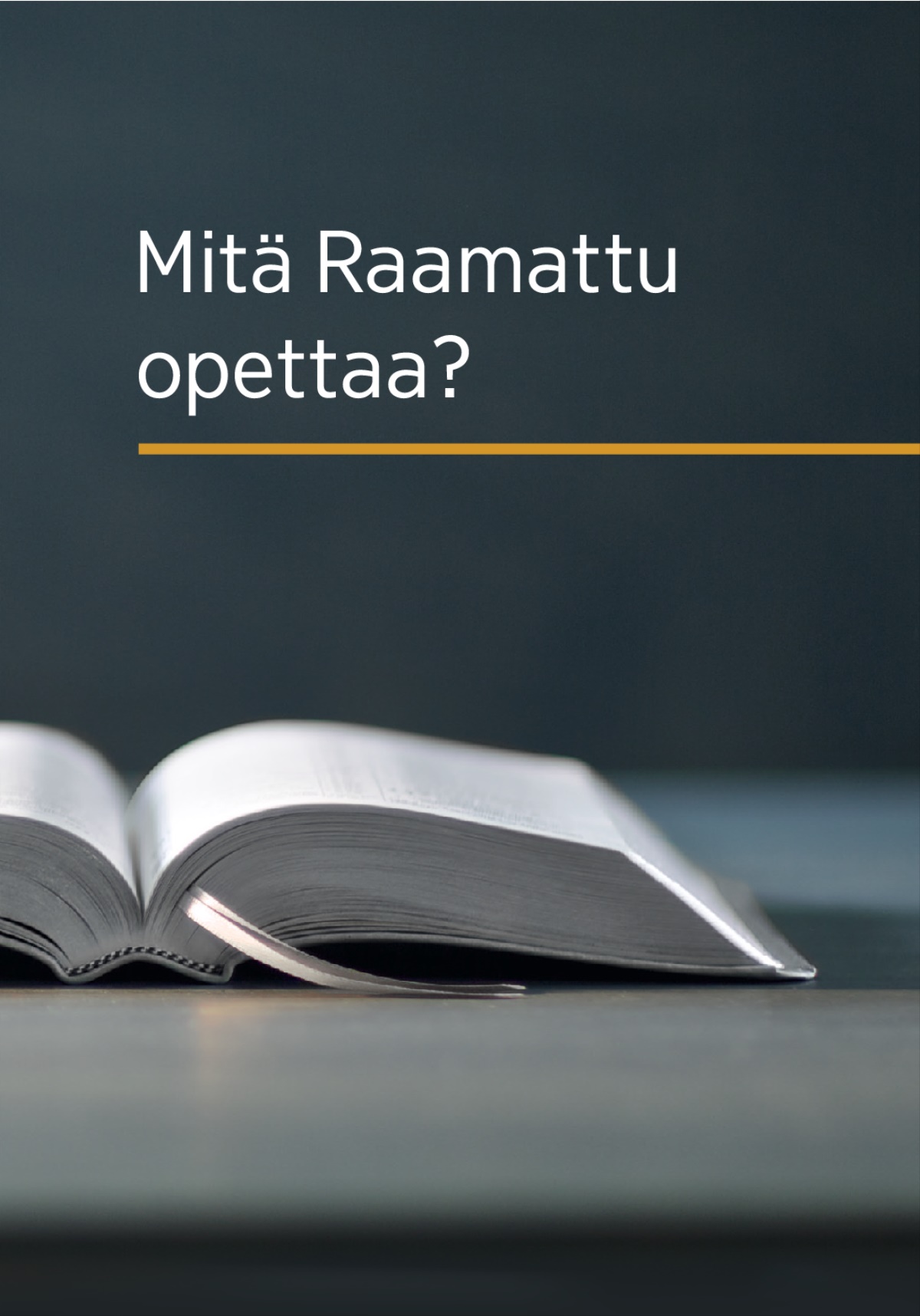 Mitä Raamattu opettaa?