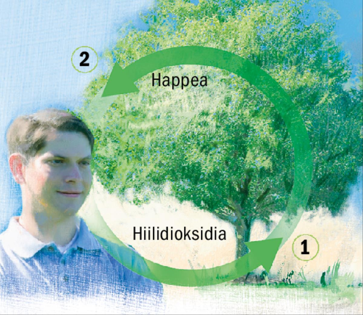 Hiilen ja hapen kiertokulku