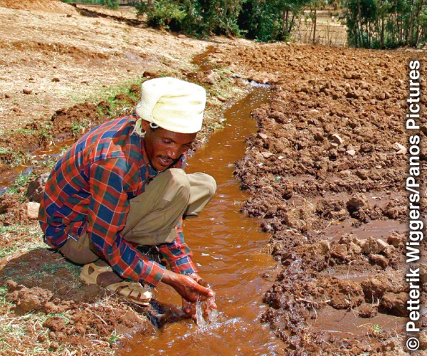 Un agriculteur africain