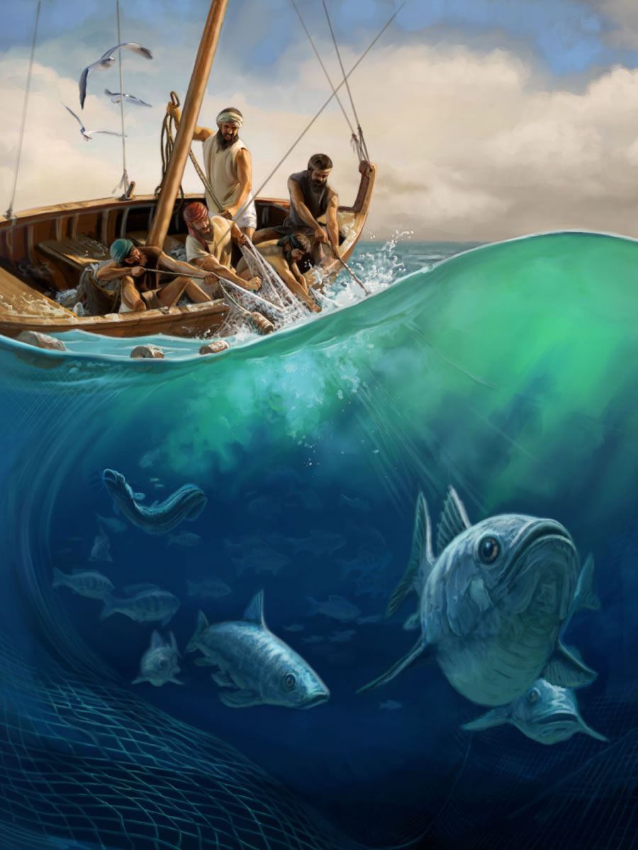 Dans leur bateau, des pêcheurs remontent un filet de pêche rempli de poissons