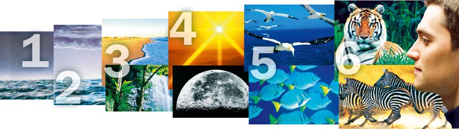 Les six jours de création