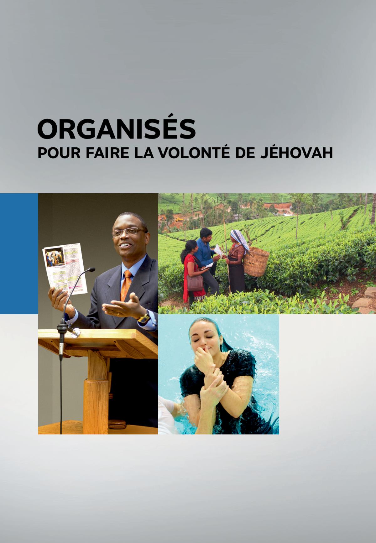 Couverture du livre Organisés pour faire la volonté de Jéhovah