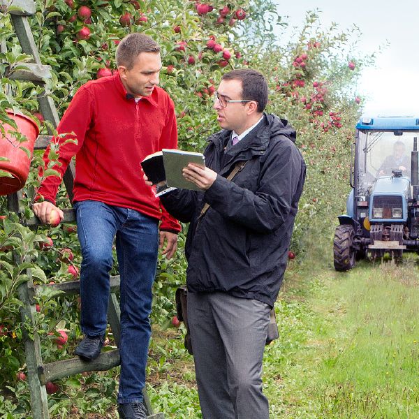 La Tour de Garde, édition d’étude, juillet 2017