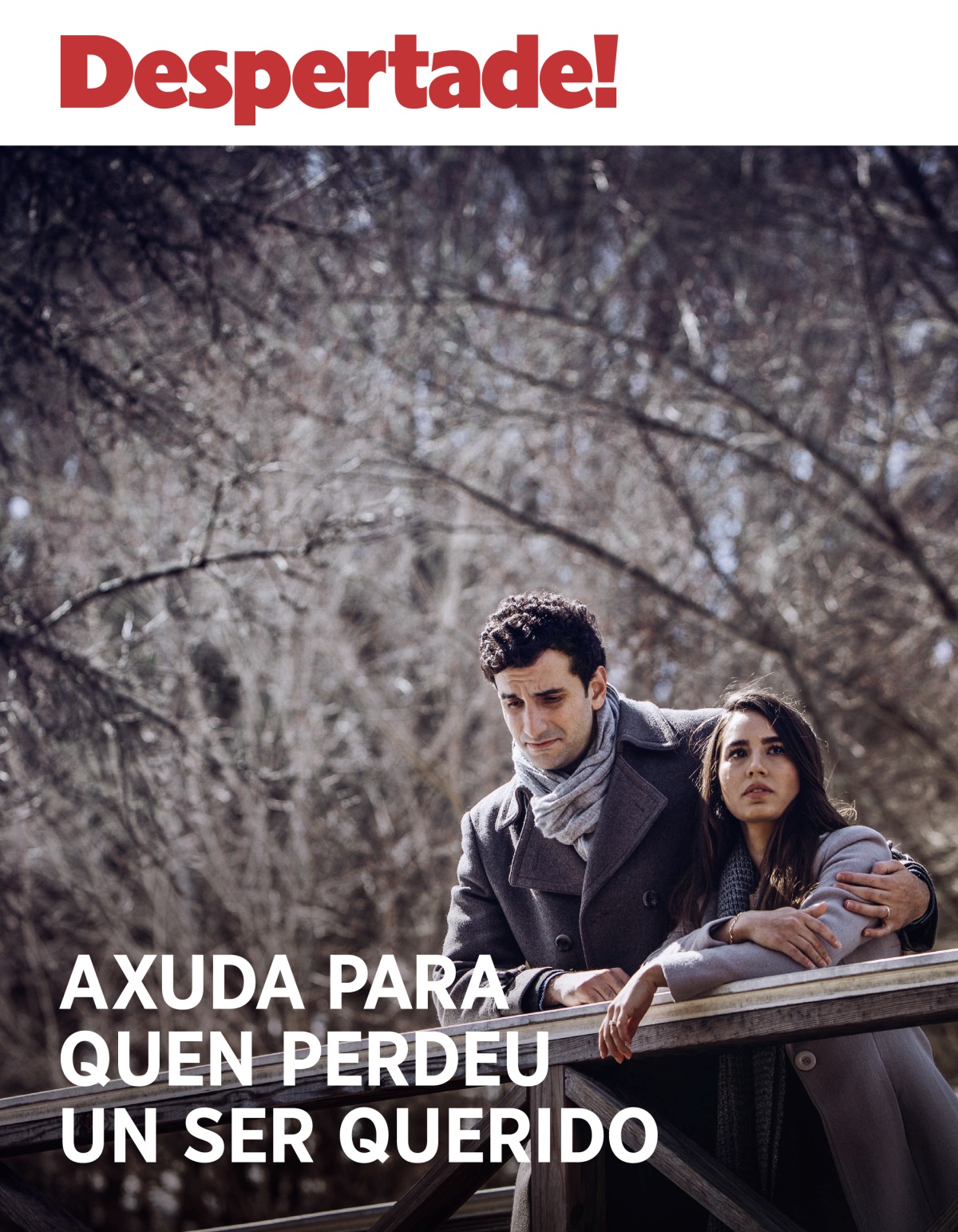 Despertade!, núm. 3 2018 | Axuda para quen perdeu un ser querido